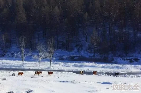 桃源深处有人家雪景喵趣全攻略：掌握雪景喵趣玩法技巧